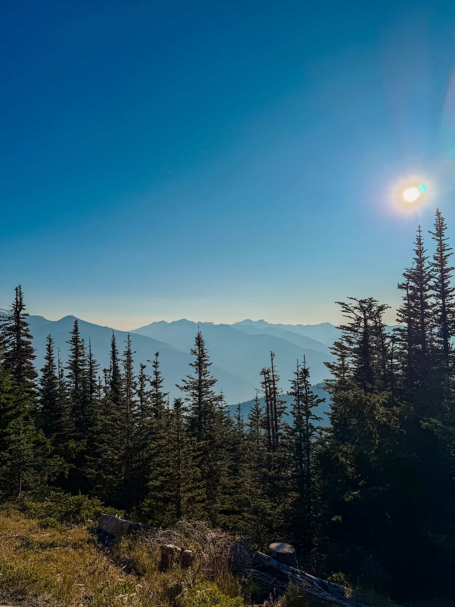 hurricane ridge trail olympic national park with kids