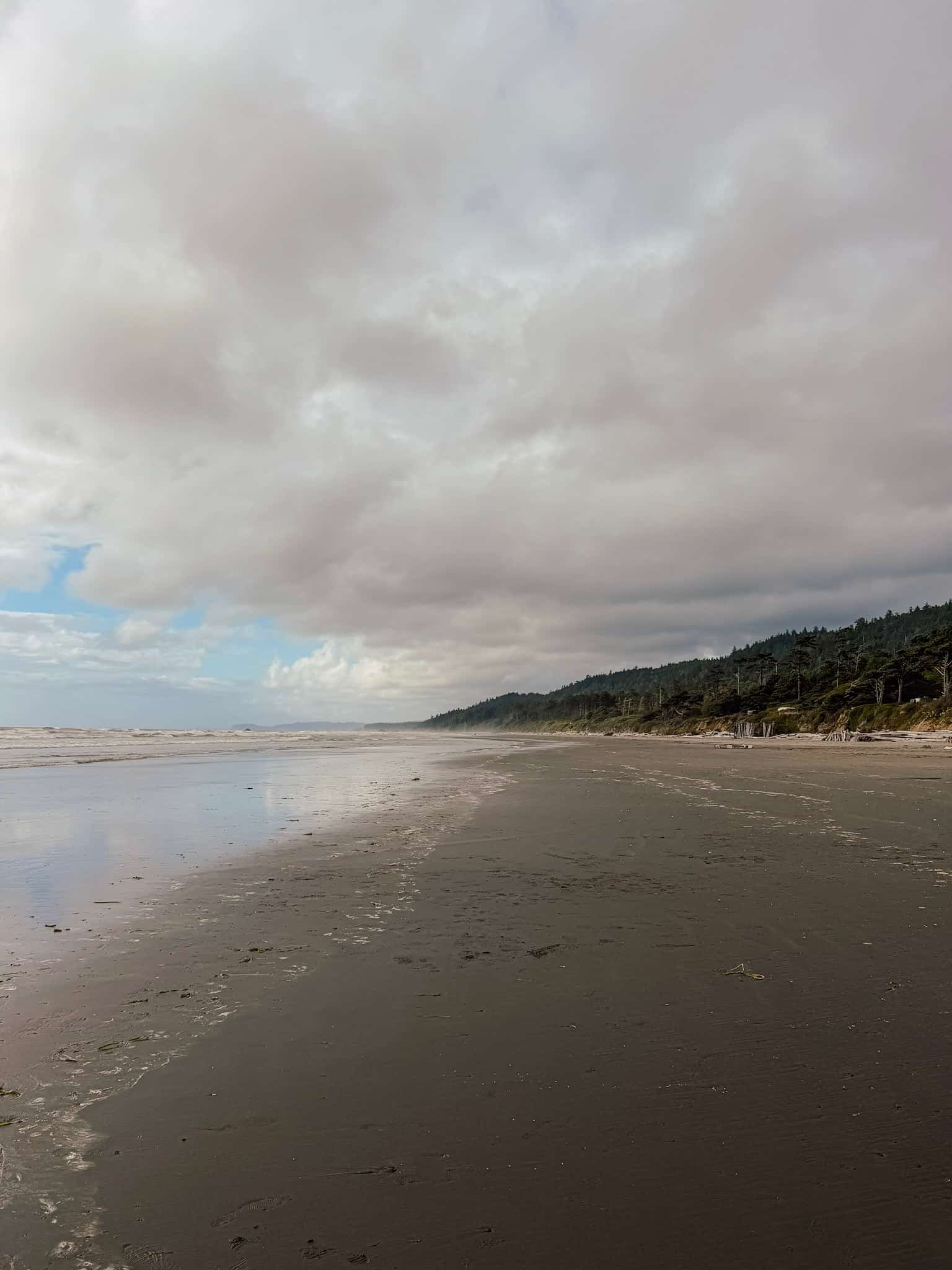 kalaloch beach olympic national park 