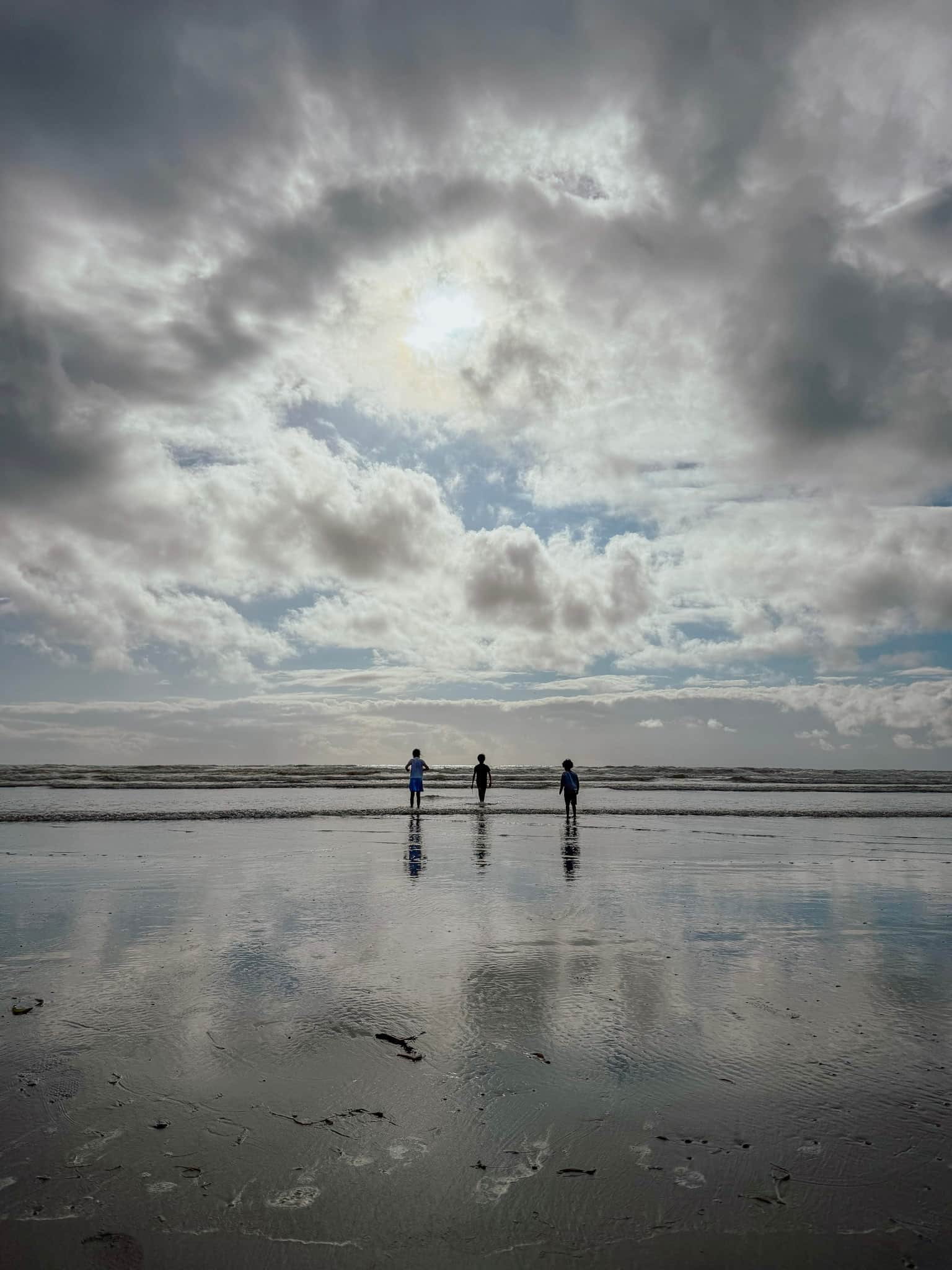 kalaloch beach tide pooling in olympic national park