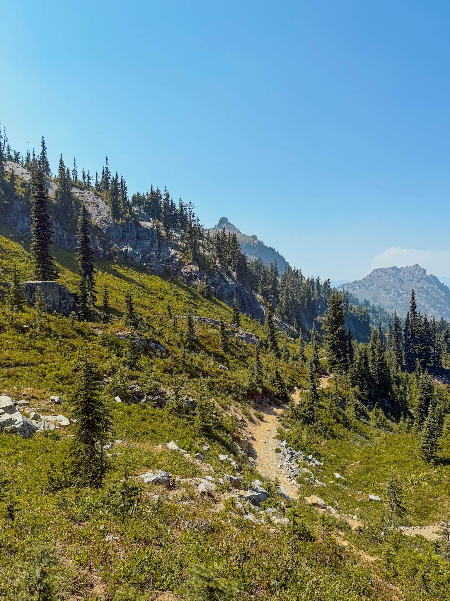 naches peak loop mt rainier with kids