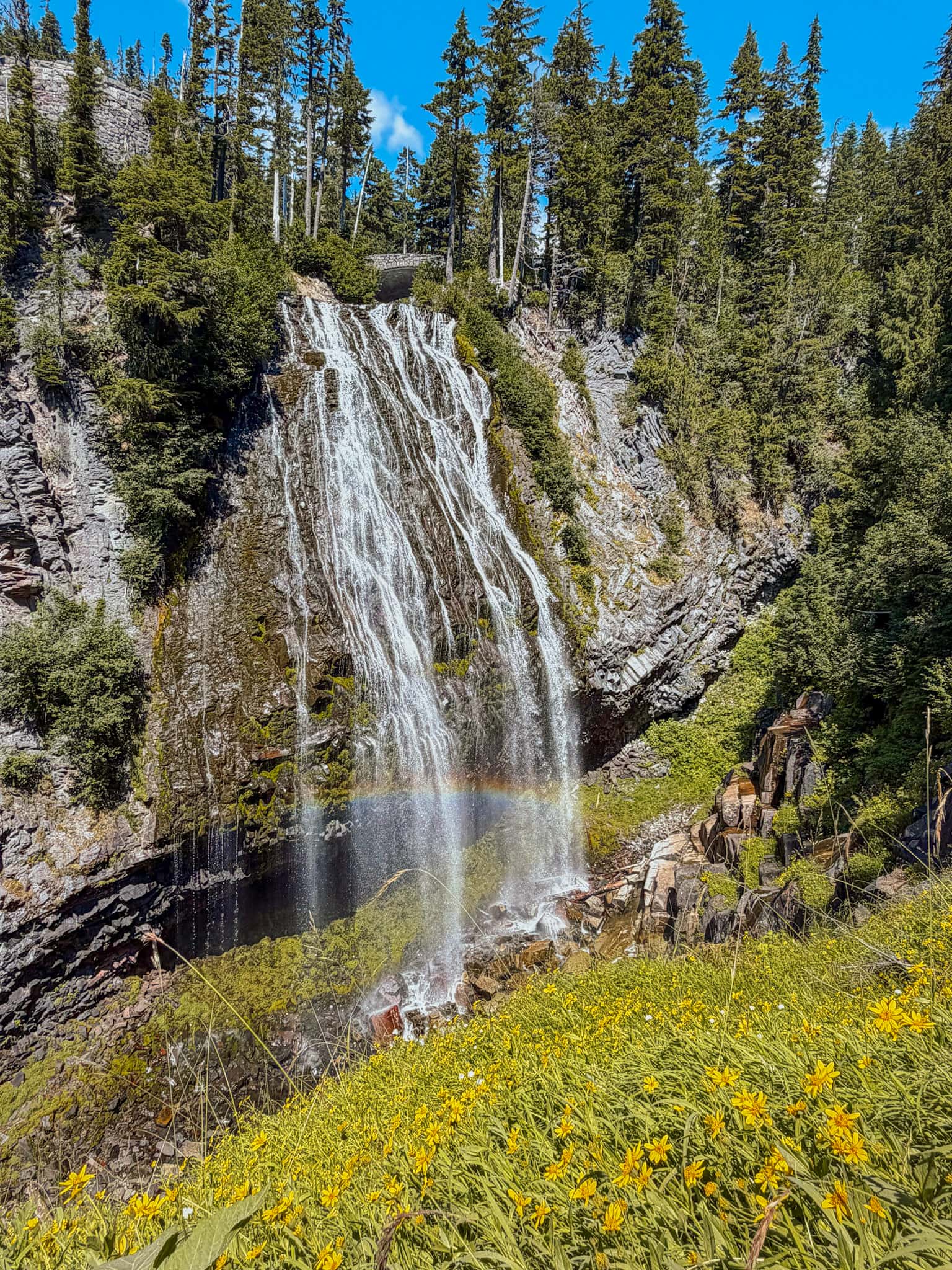 Narada falls mt rainier road trip