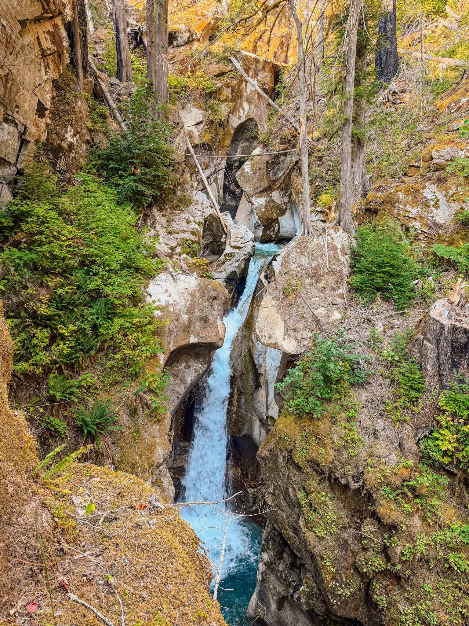 north cascade national park 