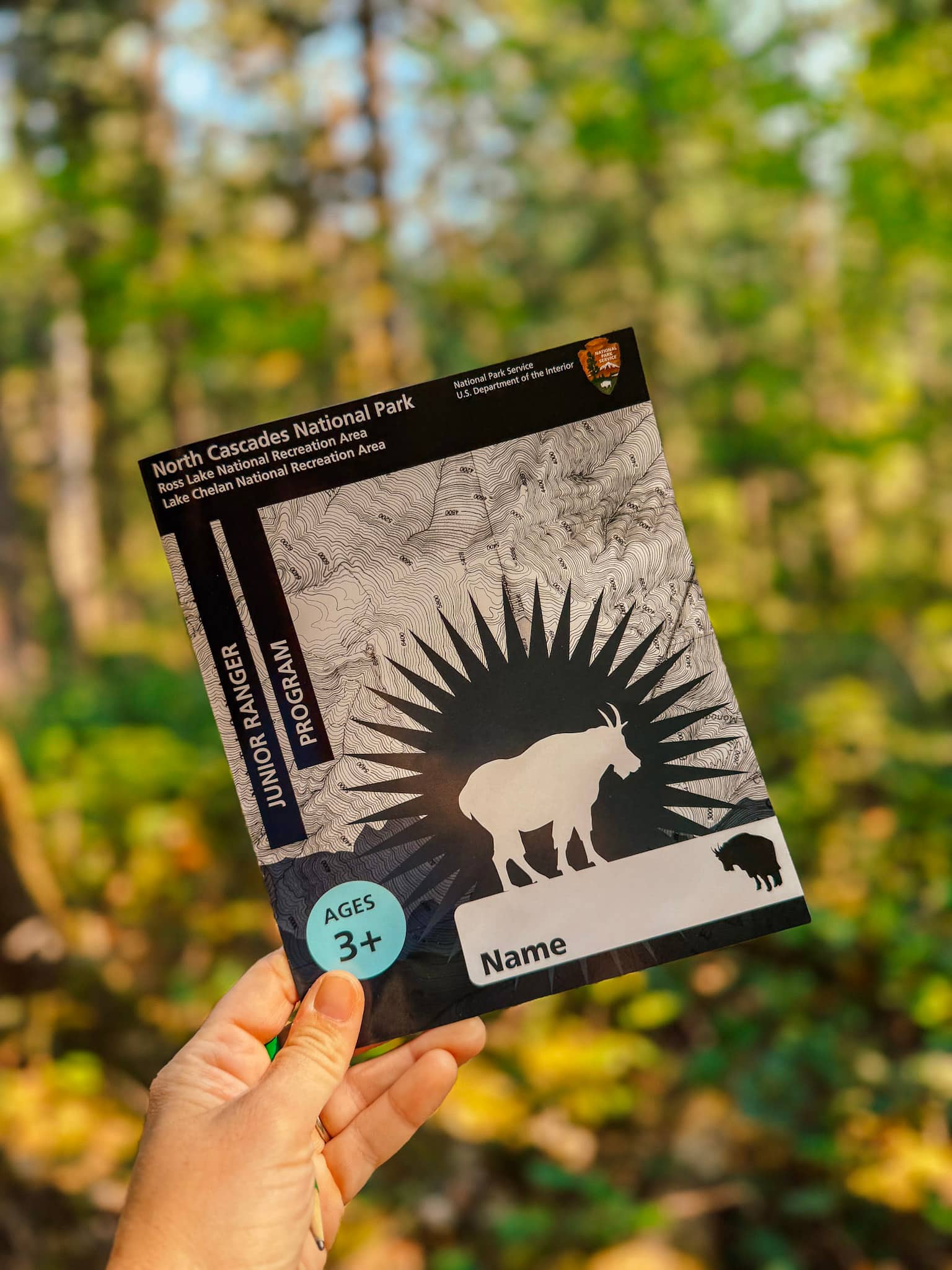 north cascades national park with kids