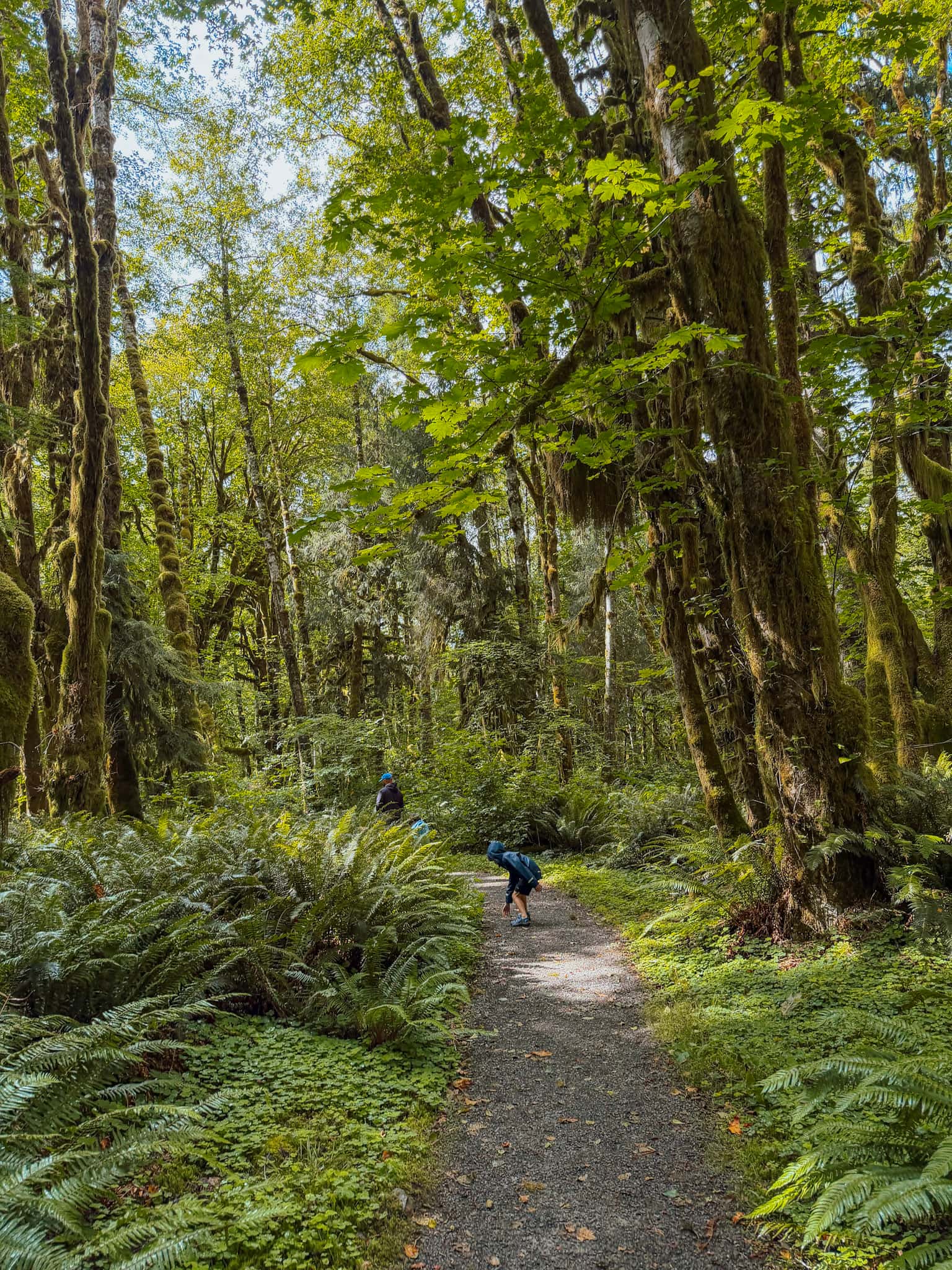 PNW road trip washington oregon road trip