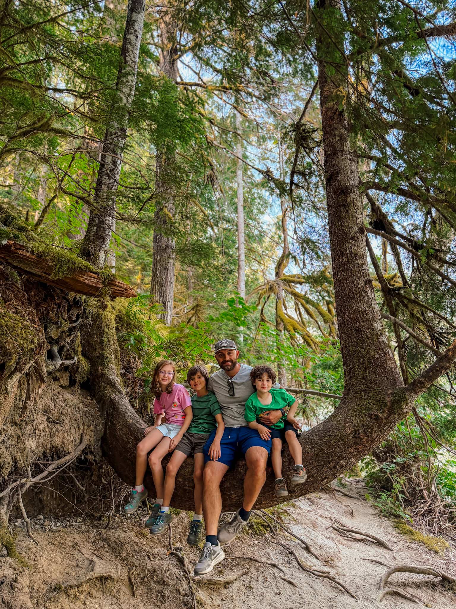 hiking in north cascade with kids