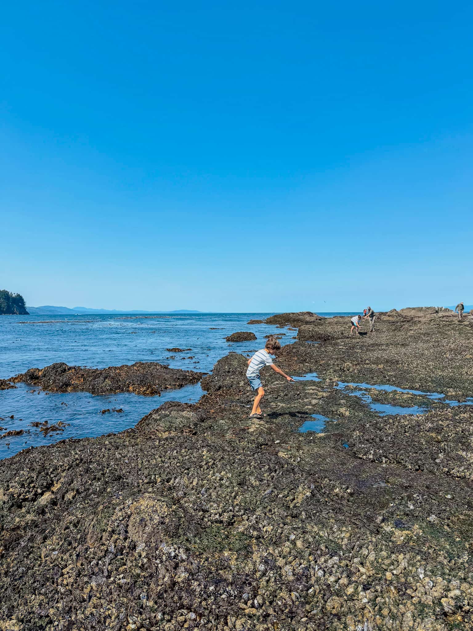 salt creek recreation area olympic national park 