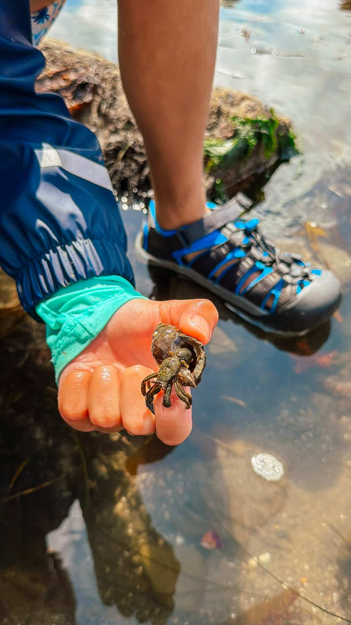 tide pooling at second beach olympic national park 