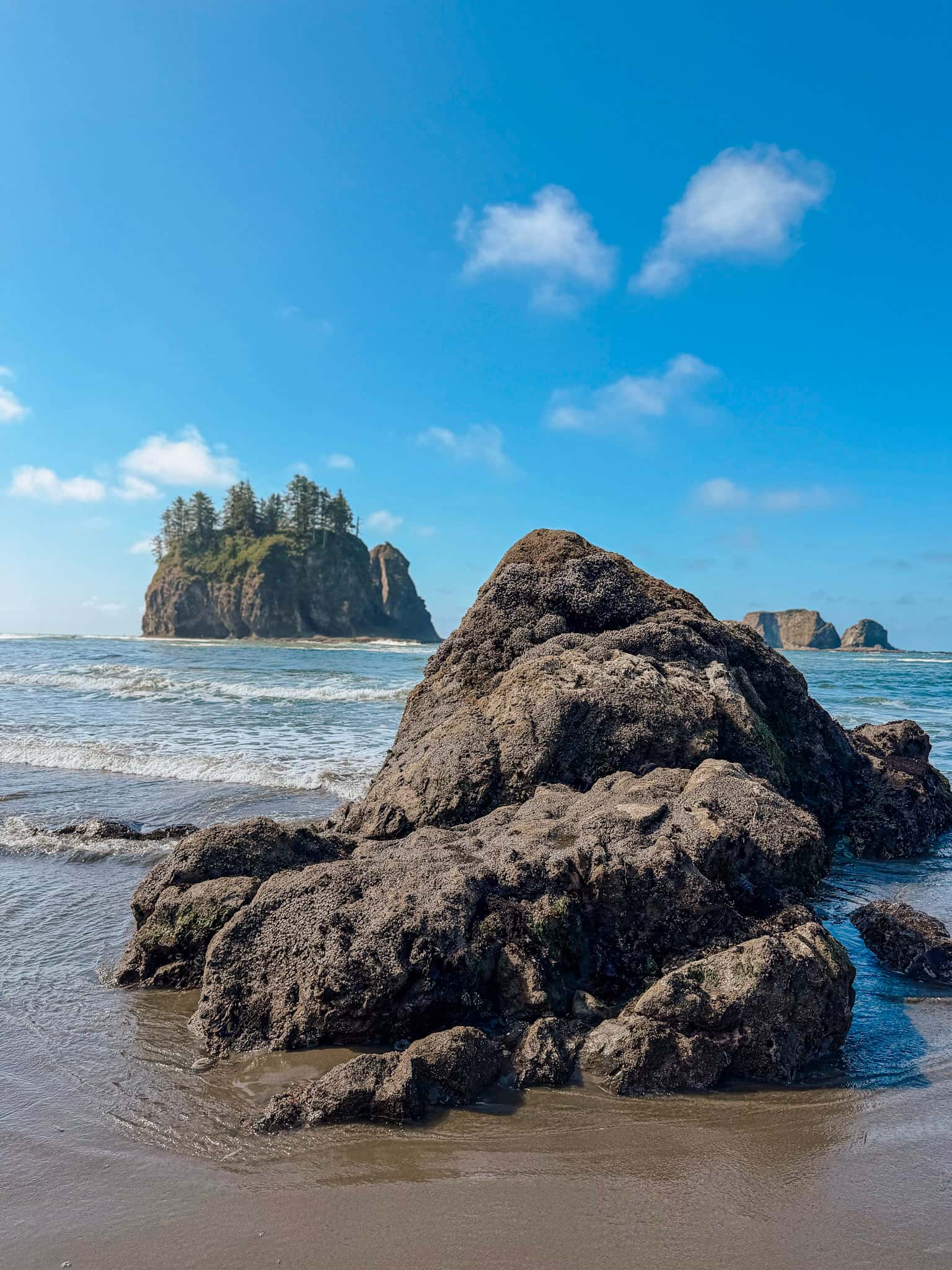 second beach olympic national park washington road trip