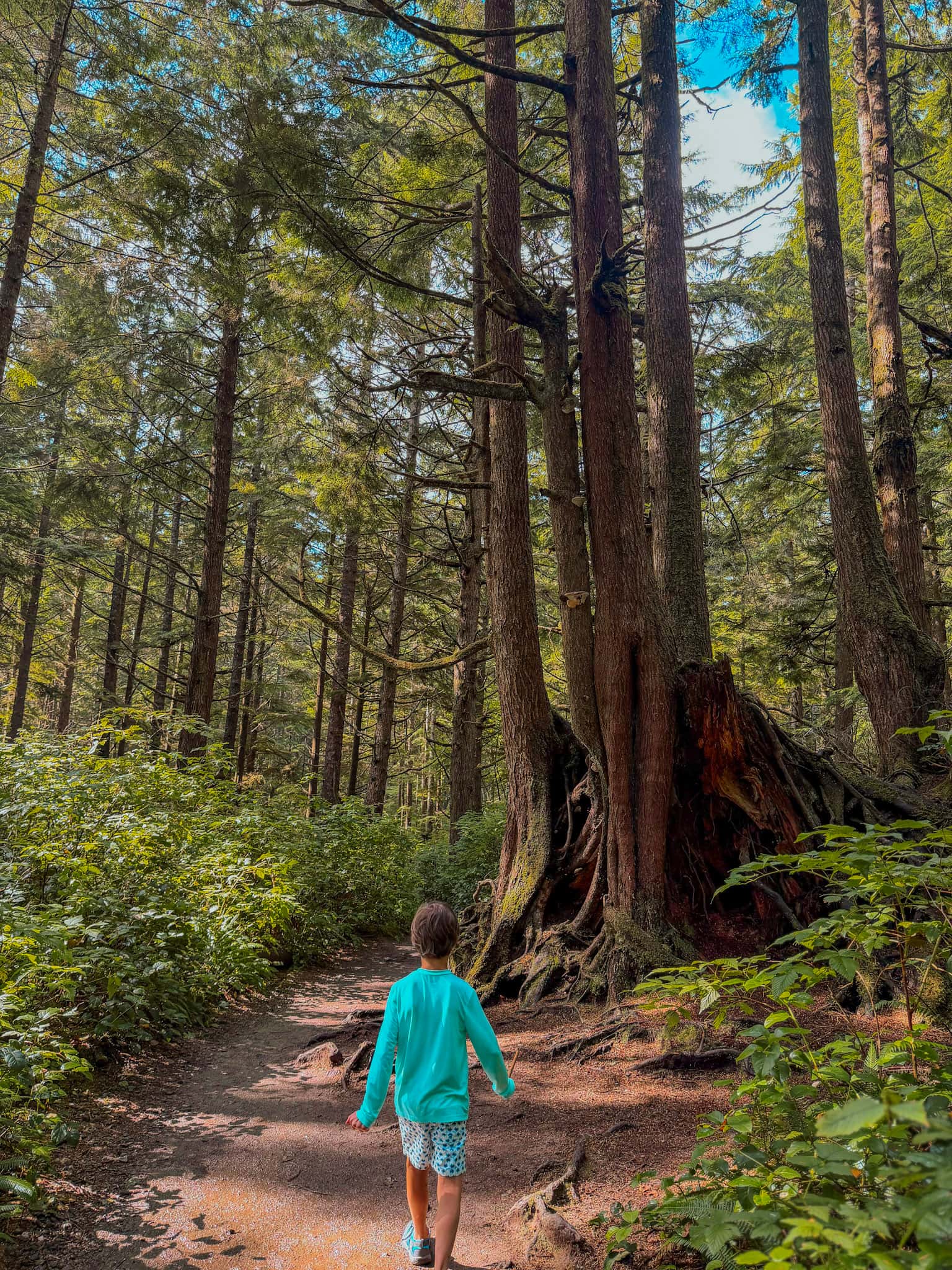 second beach trail olympic national park with kids