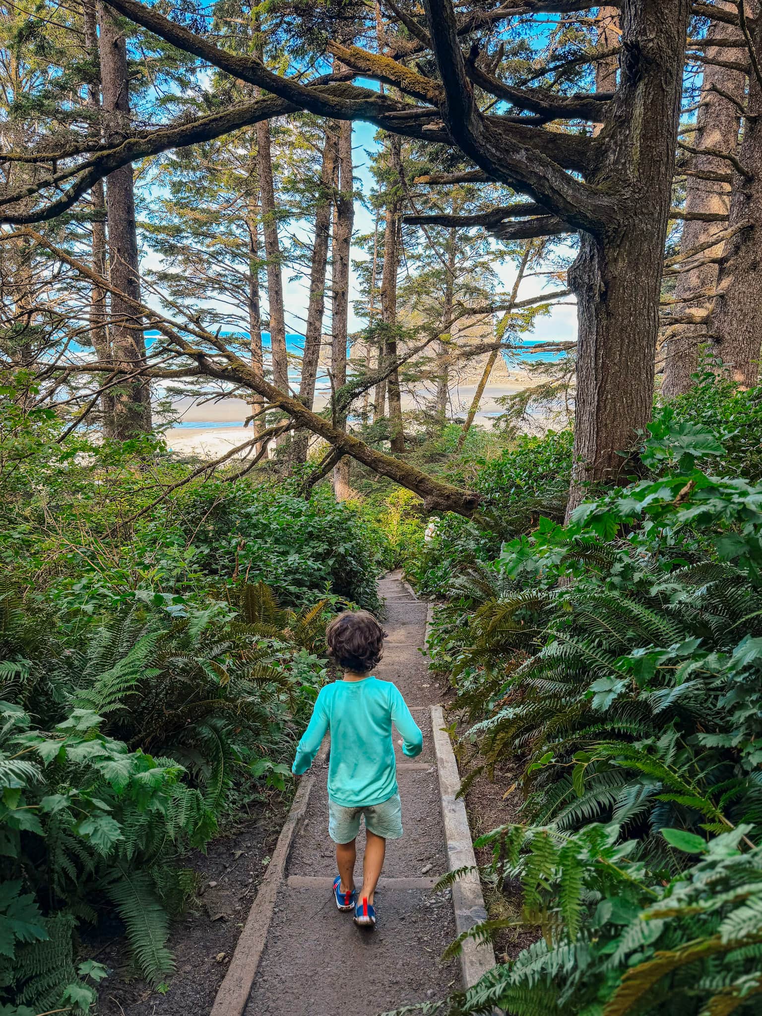 second beach trail olympic national park road trip