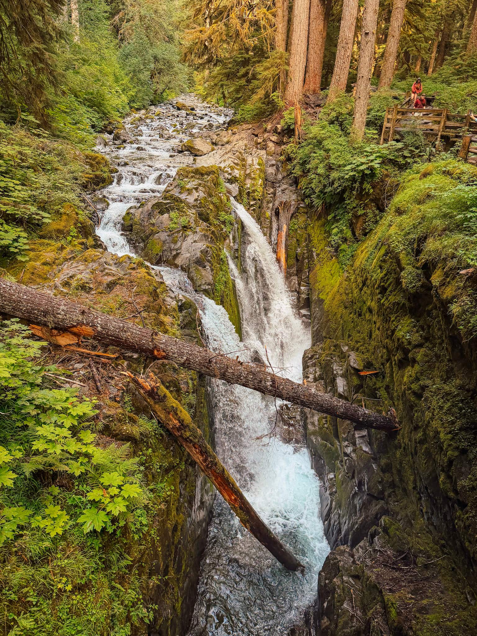 sol duc waterfall