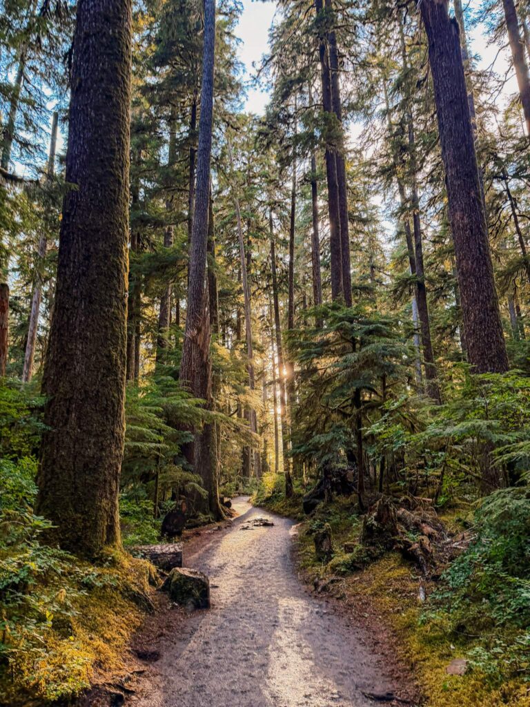 sol duc falls trail olympic national park road trip