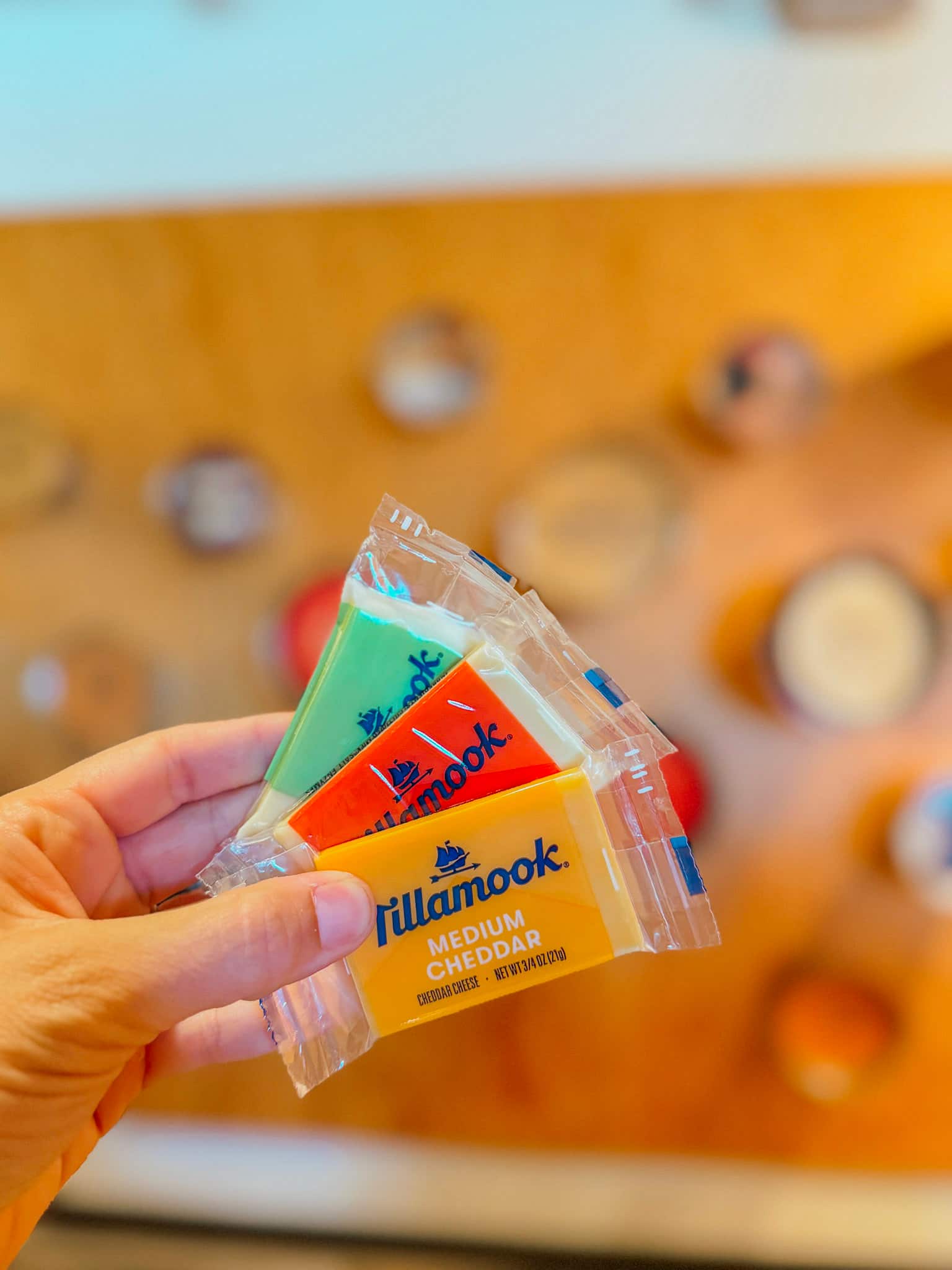 tillamook oregon coast road trip
