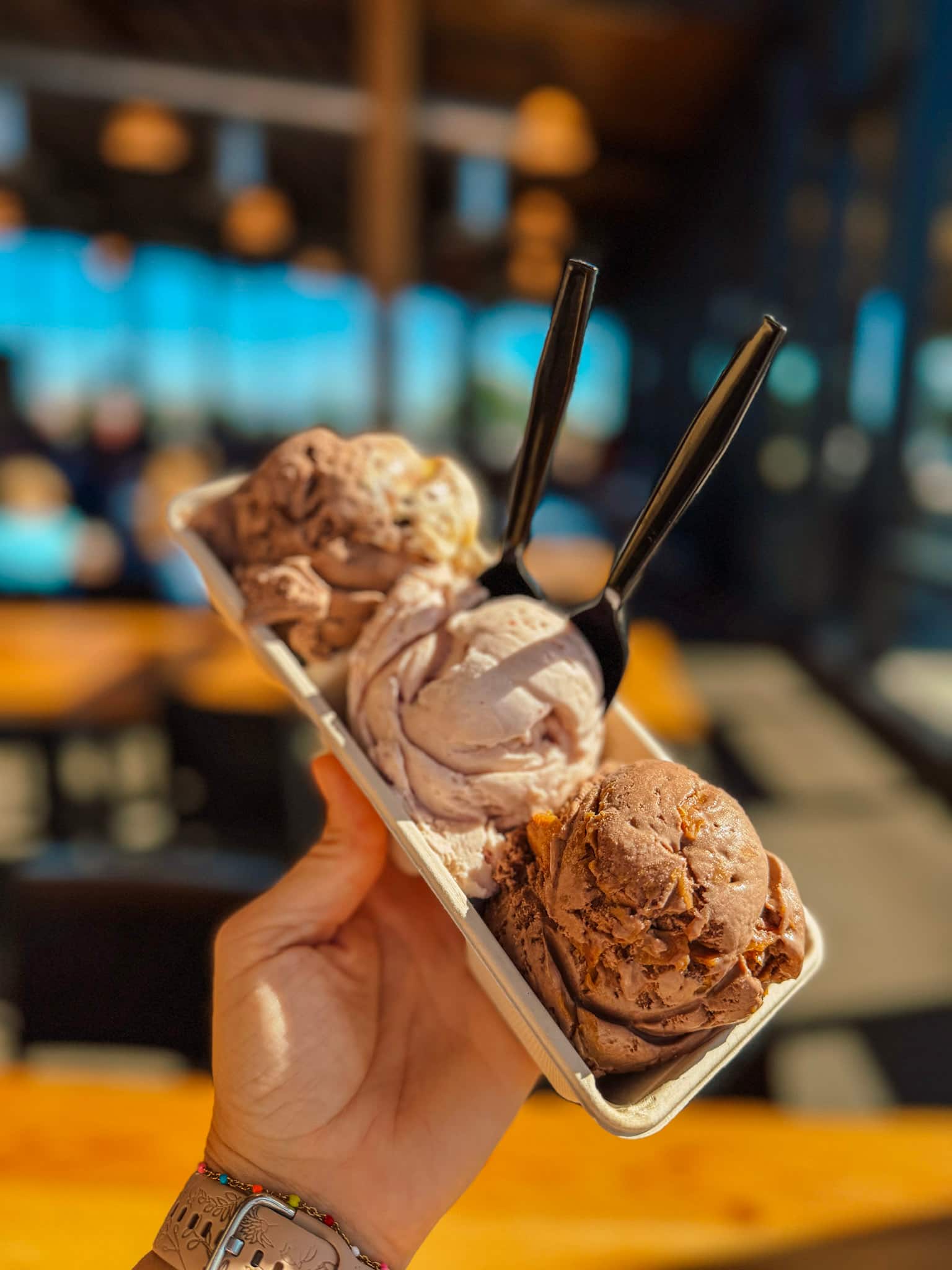 tillamook creamery oregon coast road trip PNW road trip