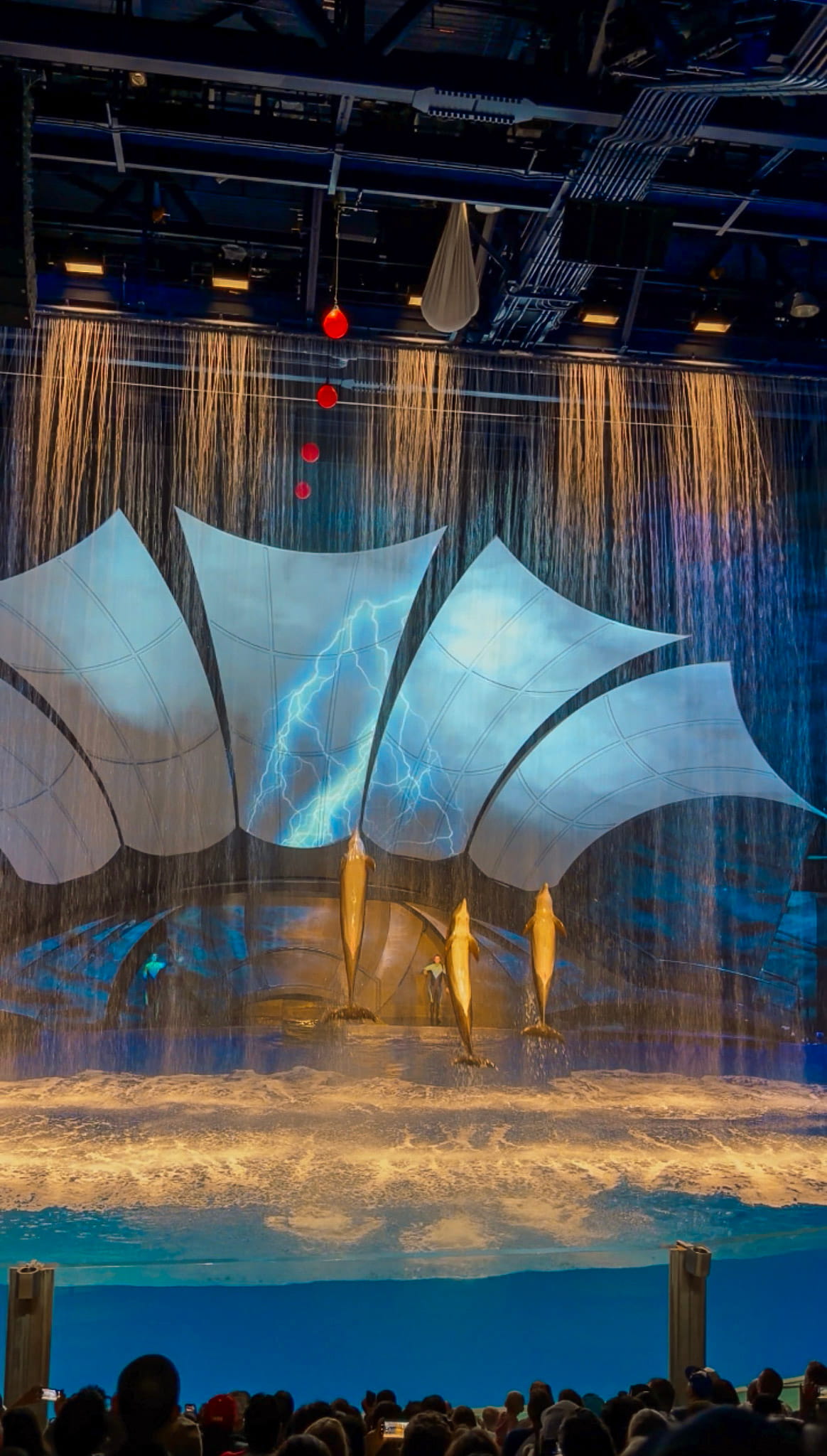 georgia aquarium