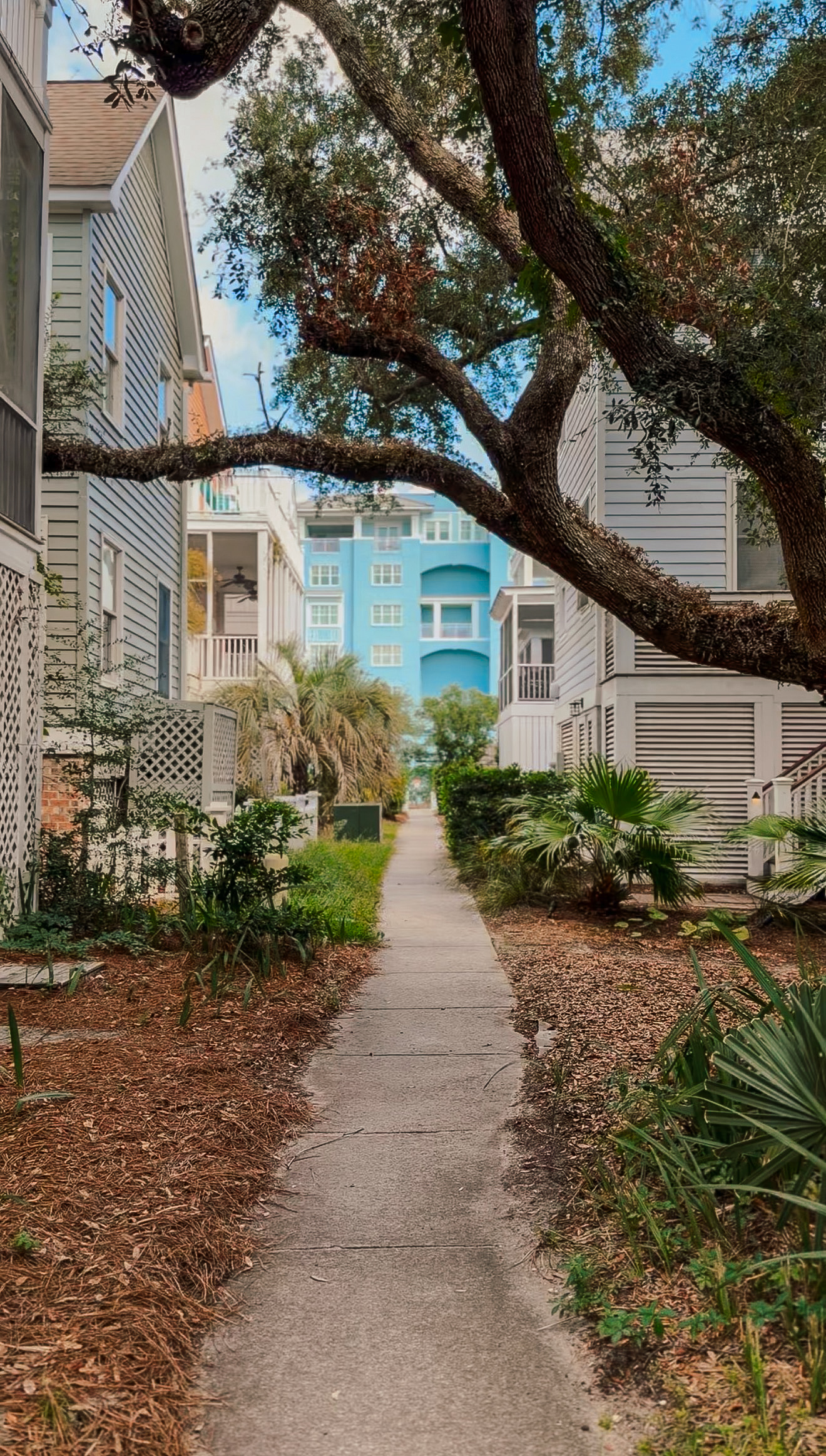 isle of palms; charleston with kids