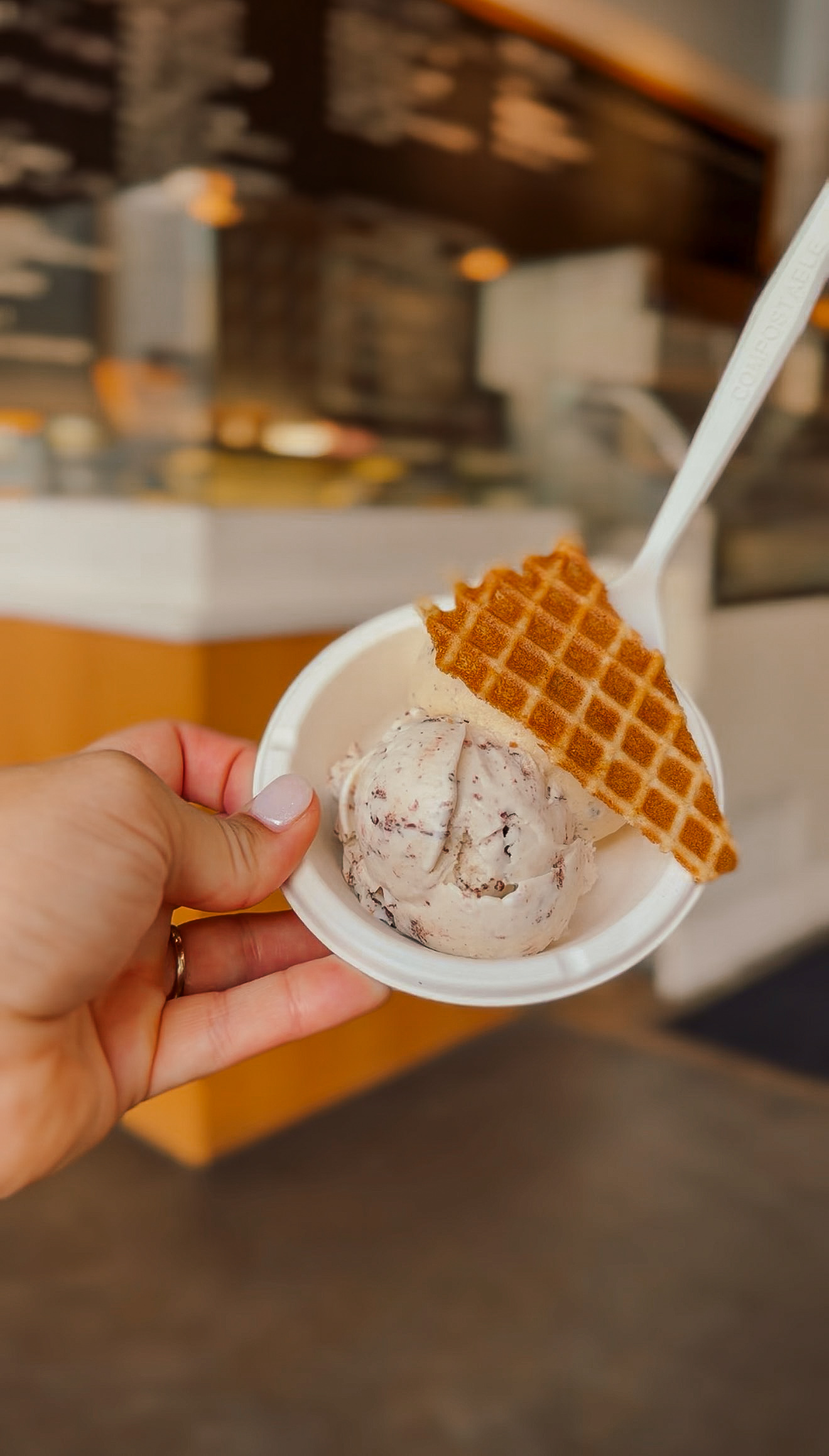 ice cream charleston with kids