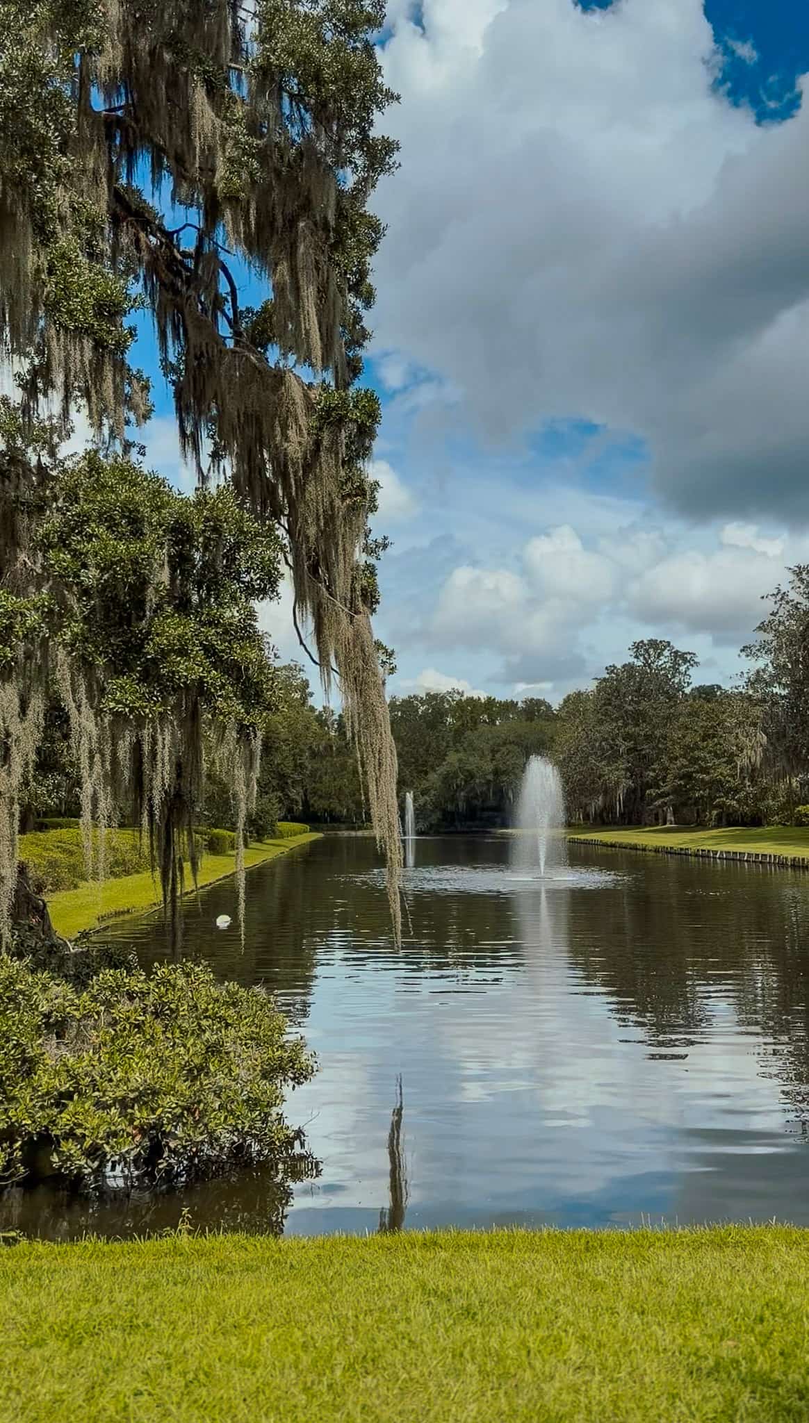 charleston with kids
