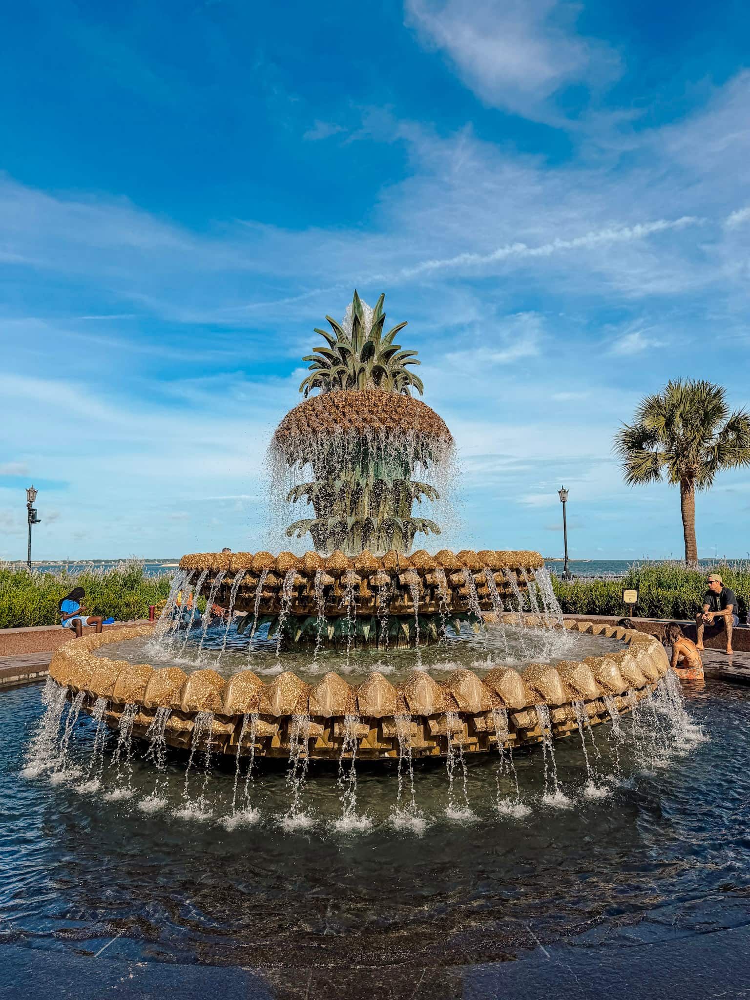charleston with kids