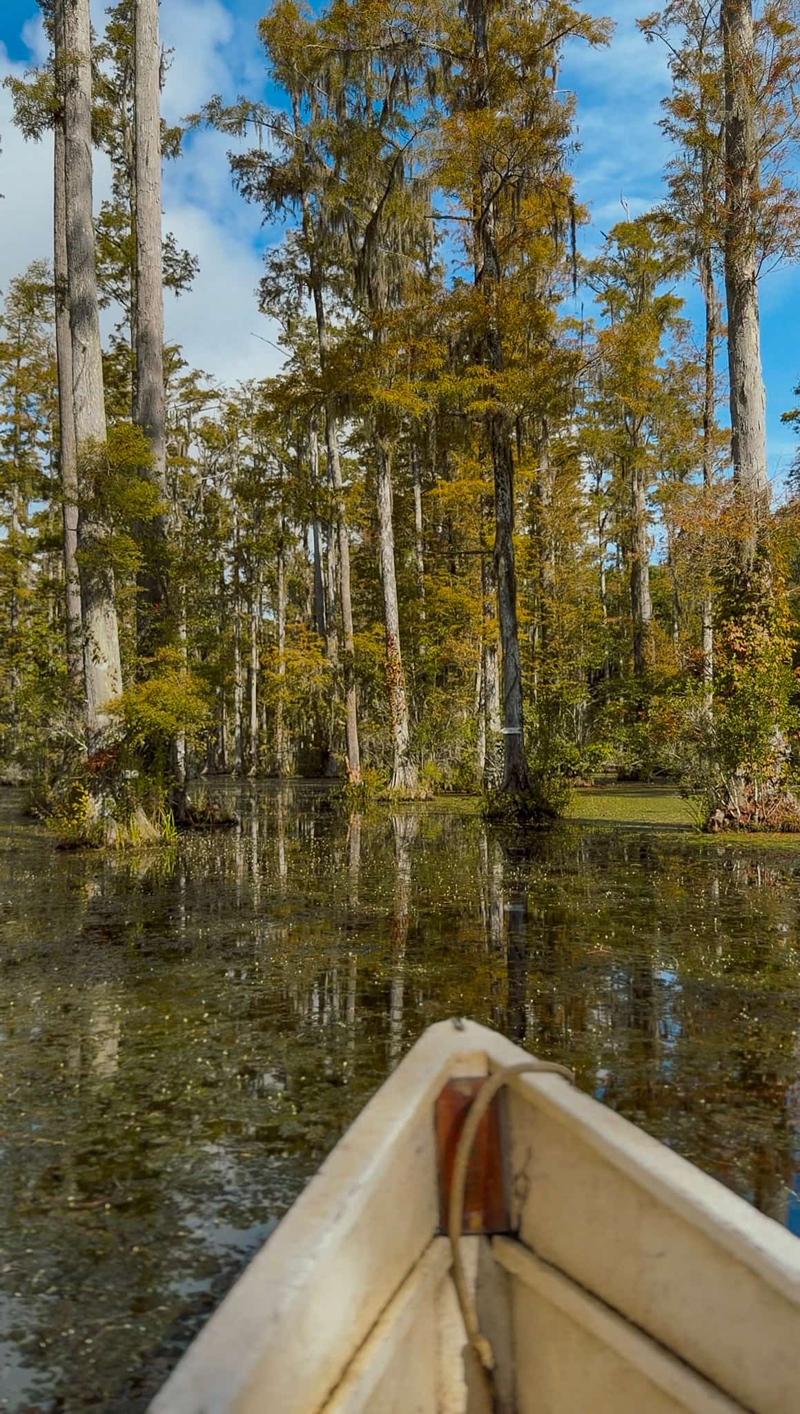 cypress garden charleston girls trip