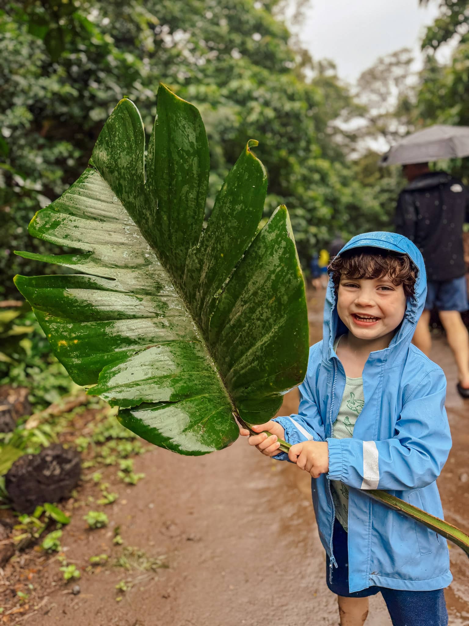 maui with kids