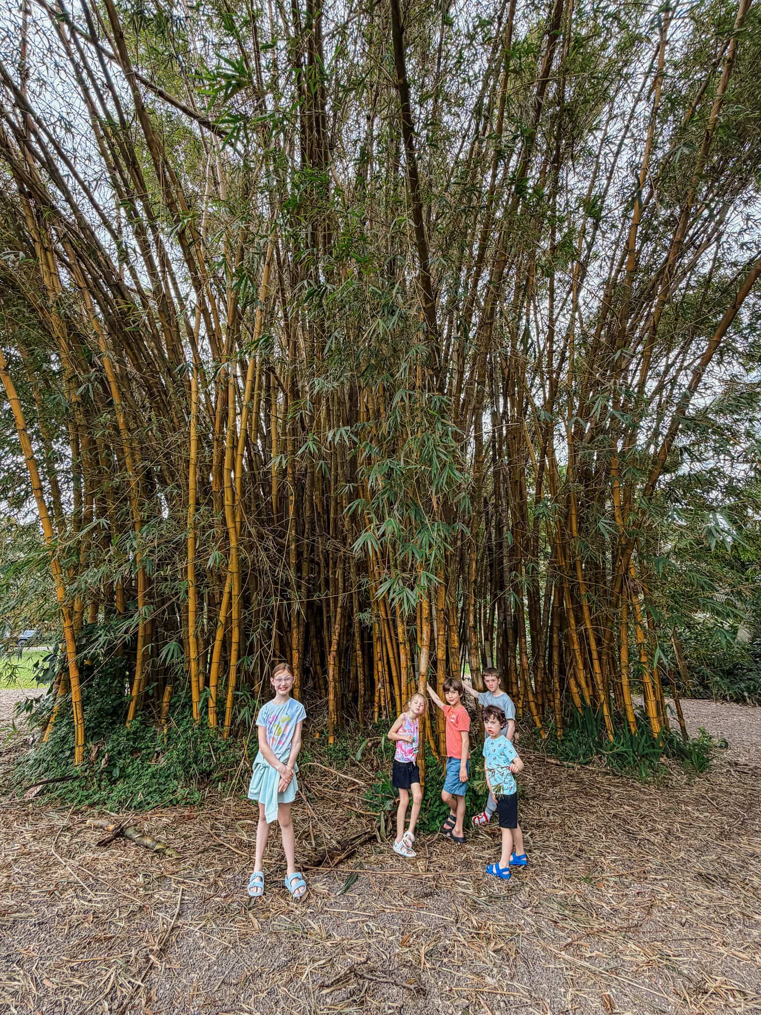 twin falls road to hana with kids
