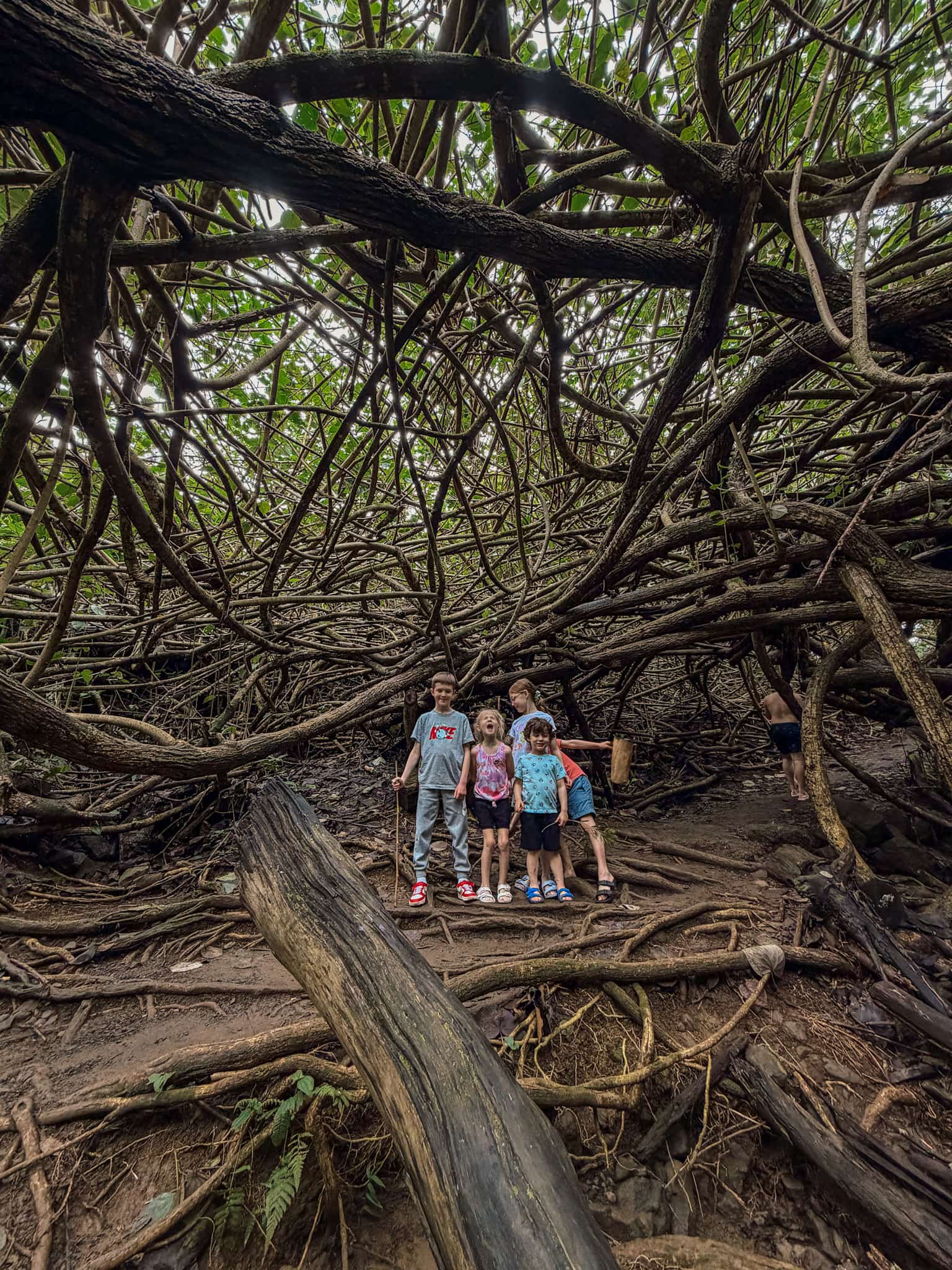 maui with kids