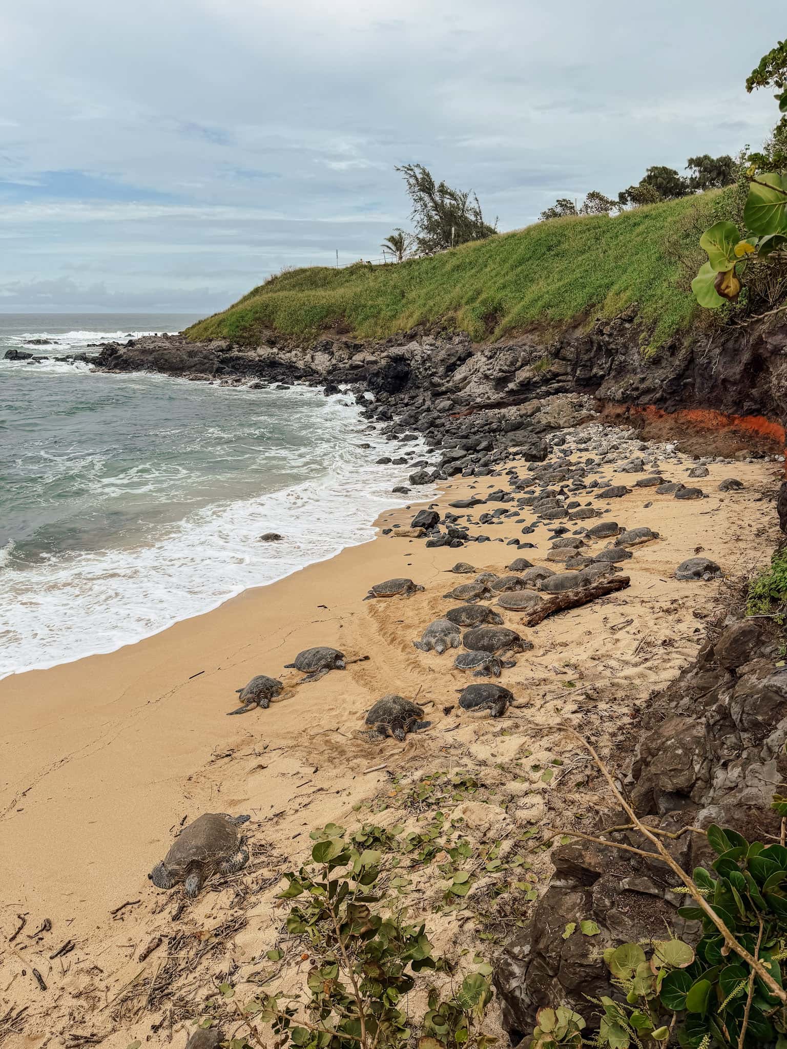 maui with kids