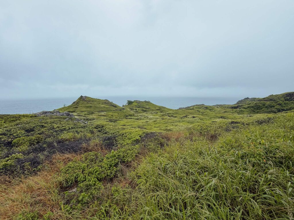 maui with kids trail 