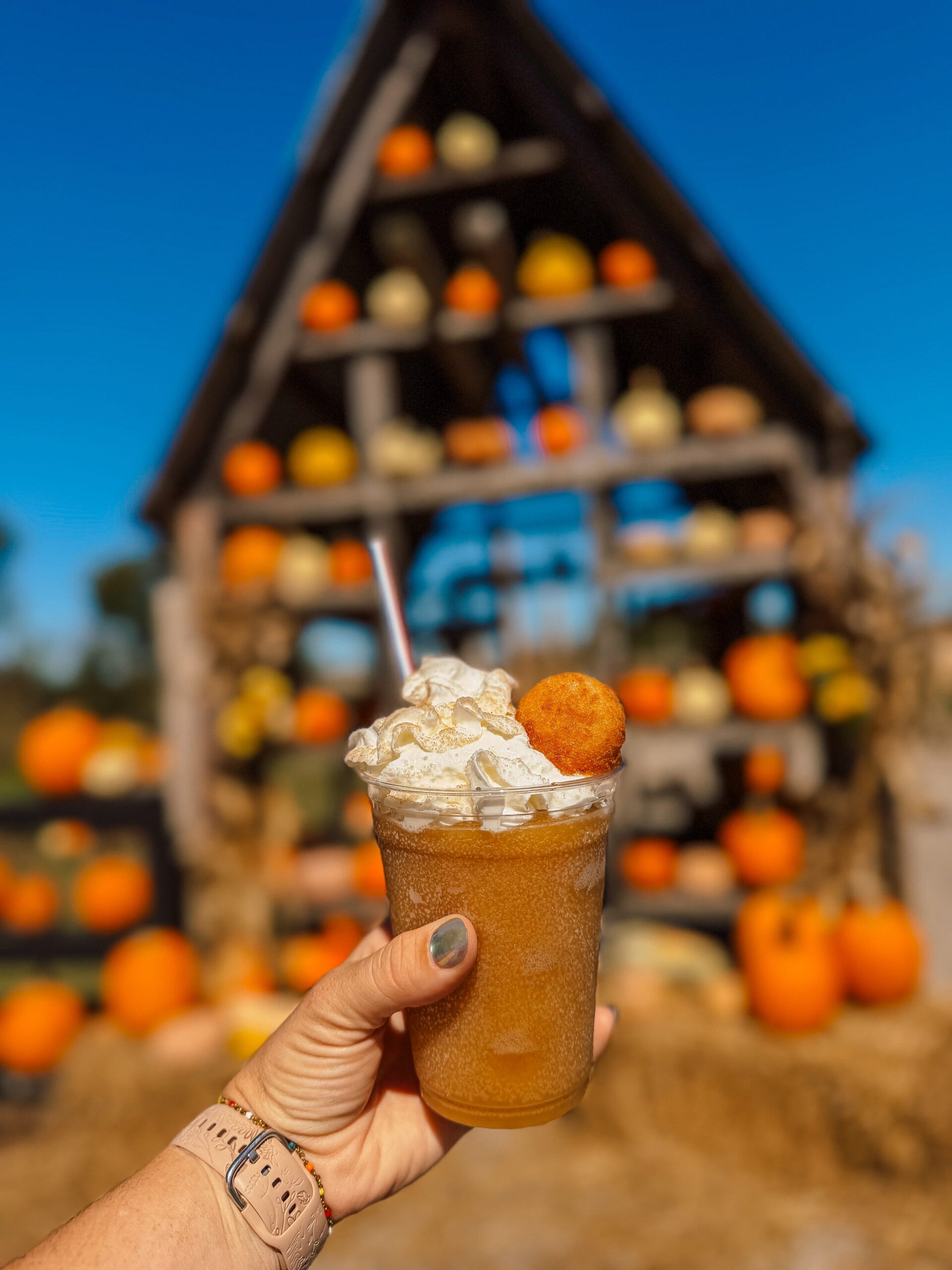kansas fall day pittsburg pumpkin patch